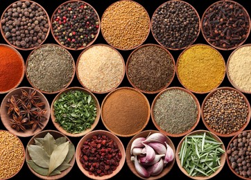 Image of Collection of different aromatic spices and herbs on black background, flat lay