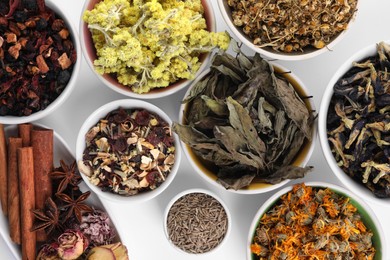 Many different dry herbs, flowers and spices in bowls on white background, flat lay