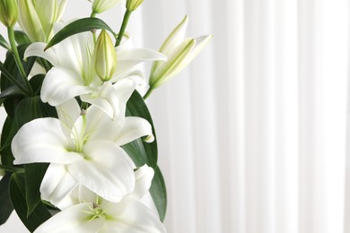 Photo of Beautiful lily flowers near white curtains, closeup. Space for text
