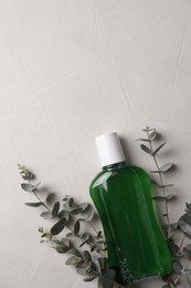 Photo of Fresh mouthwash in bottle and eucalyptus branches on light background, top view. Space for text