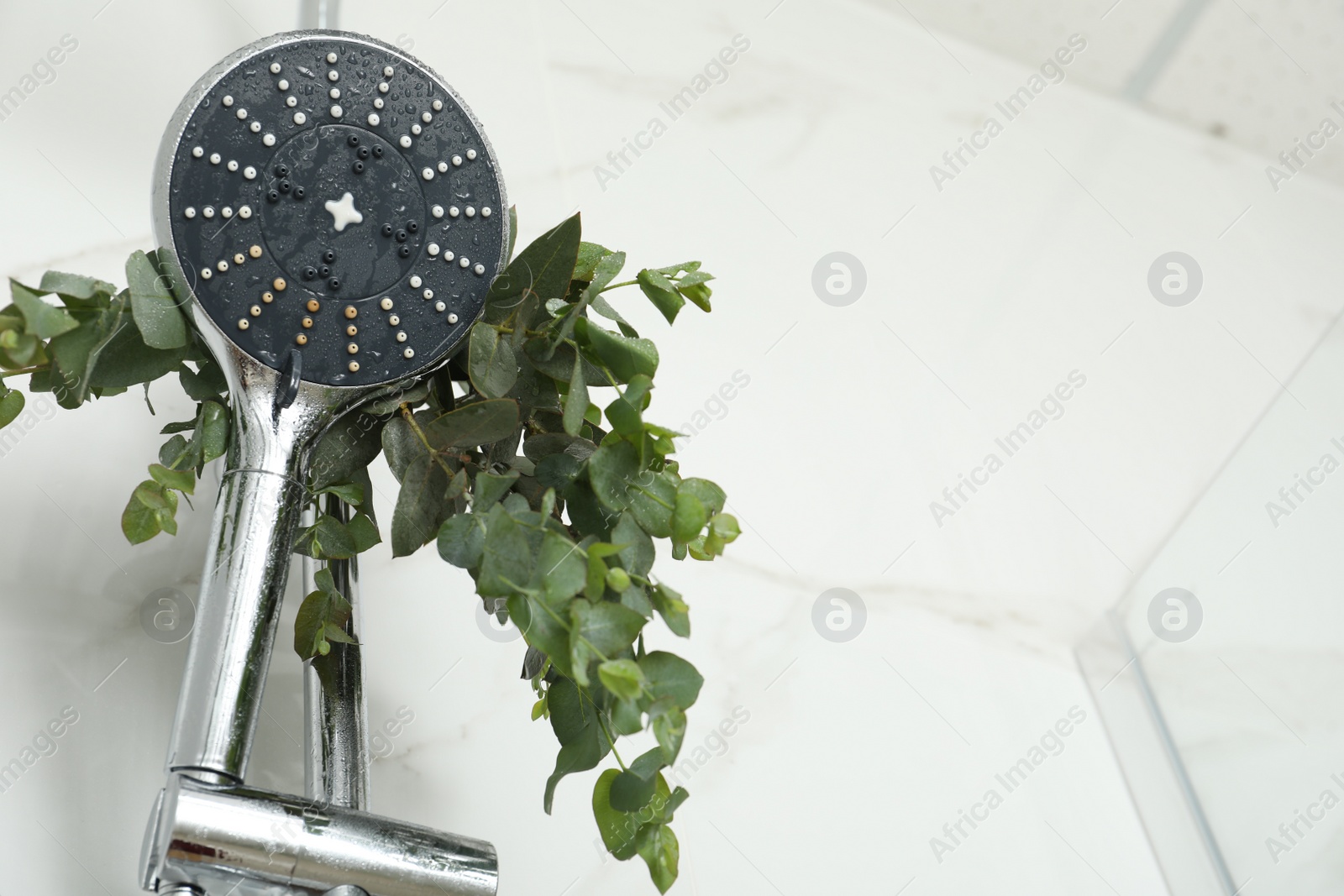 Photo of Branches with green eucalyptus leaves in shower, low angle view. Space for text