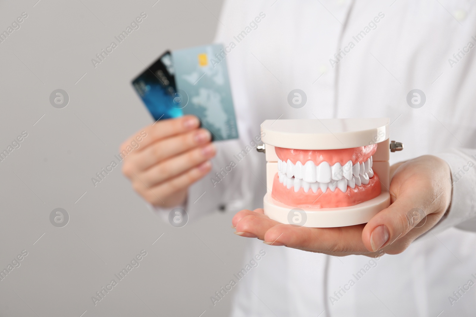 Photo of Dentist holding educational typodont model and credit cards on grey background, closeup. Expensive treatment