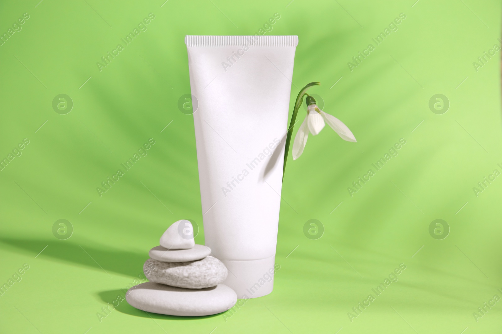 Photo of Cream, stones and snowdrop flower on light green background