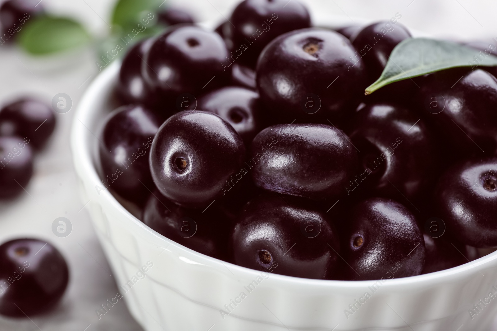 Photo of Fresh acai berries in bowl, closeup view