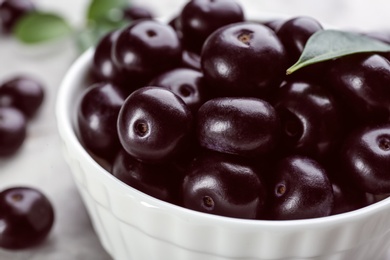 Fresh acai berries in bowl, closeup view