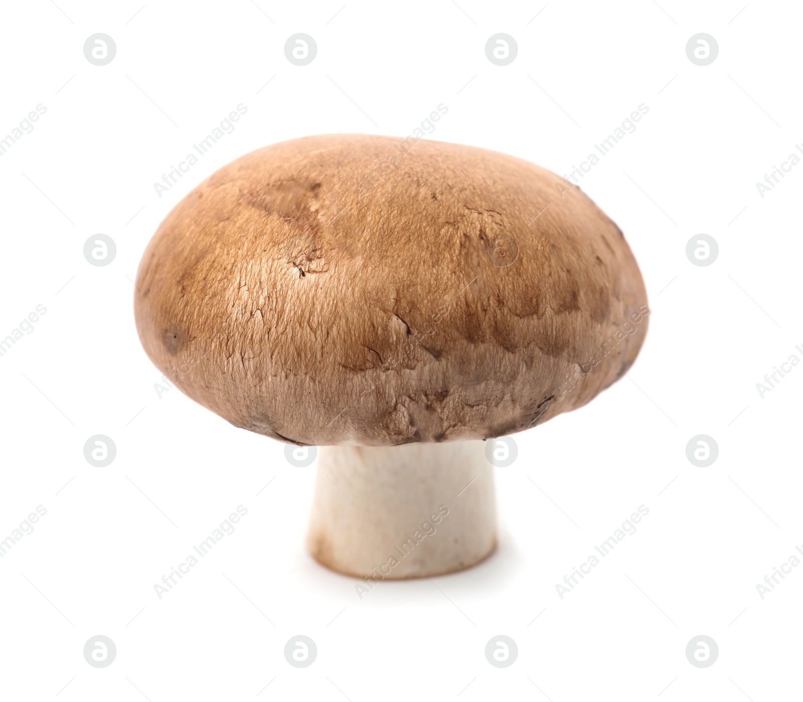 Photo of Fresh raw champignon mushroom on white background