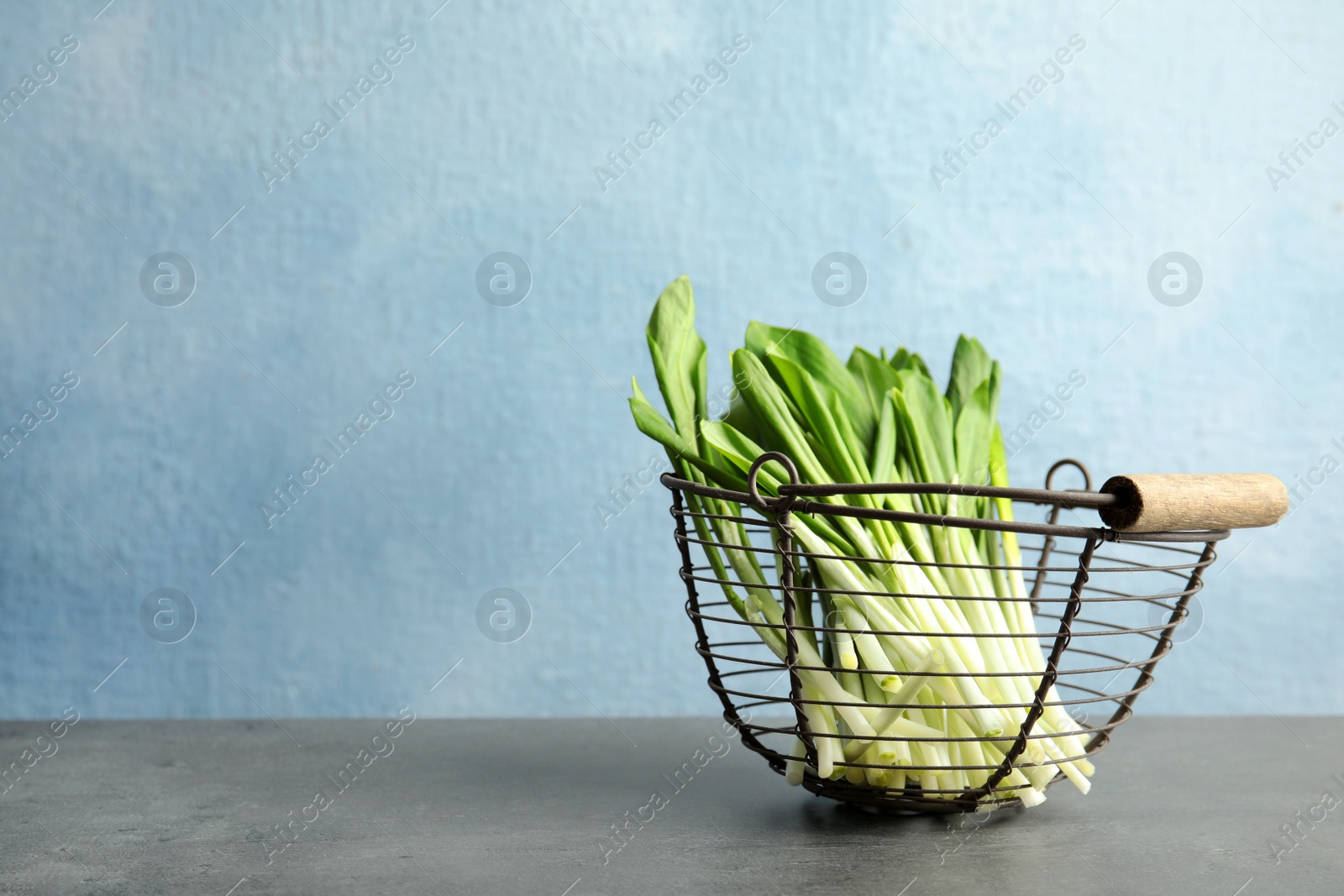 Photo of Basket with wild garlic or ramson on table against color background. Space for text