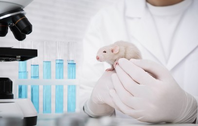 Photo of Scientist with rat in chemical laboratory, closeup. Animal testing