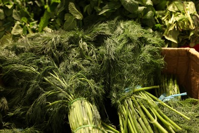 Photo of Many bunches of fresh dill on counter at wholesale market, closeup