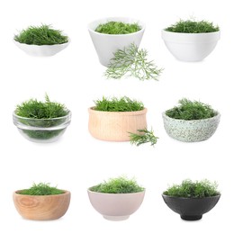 Image of Set of bowls with fresh dill isolated on white