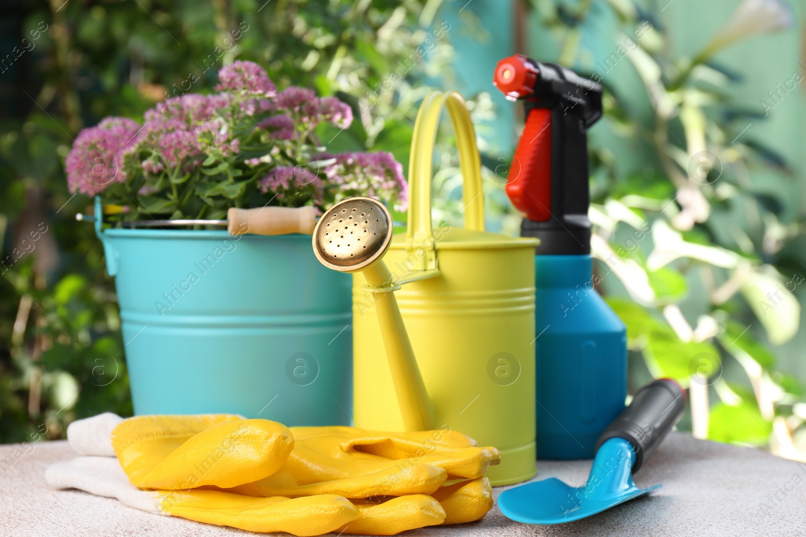 Photo of Watering can, flowers and gardening tools on table outdoors