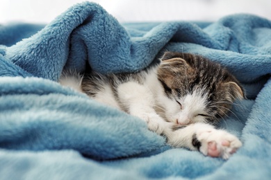Photo of Adorable little kitten sleeping on soft plaid