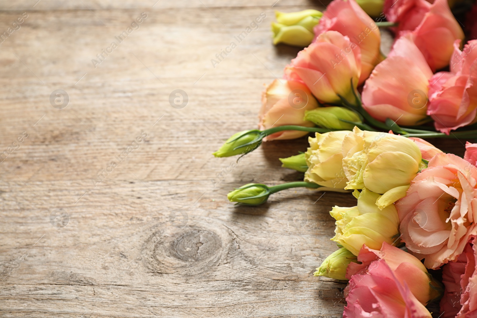 Photo of Beautiful fresh Eustoma flowers on wooden table, space for text