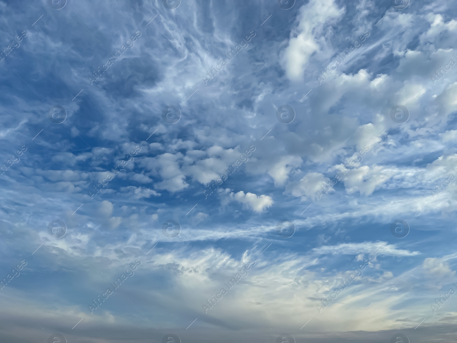 Photo of Beautiful blue sky with clouds and flying seagull