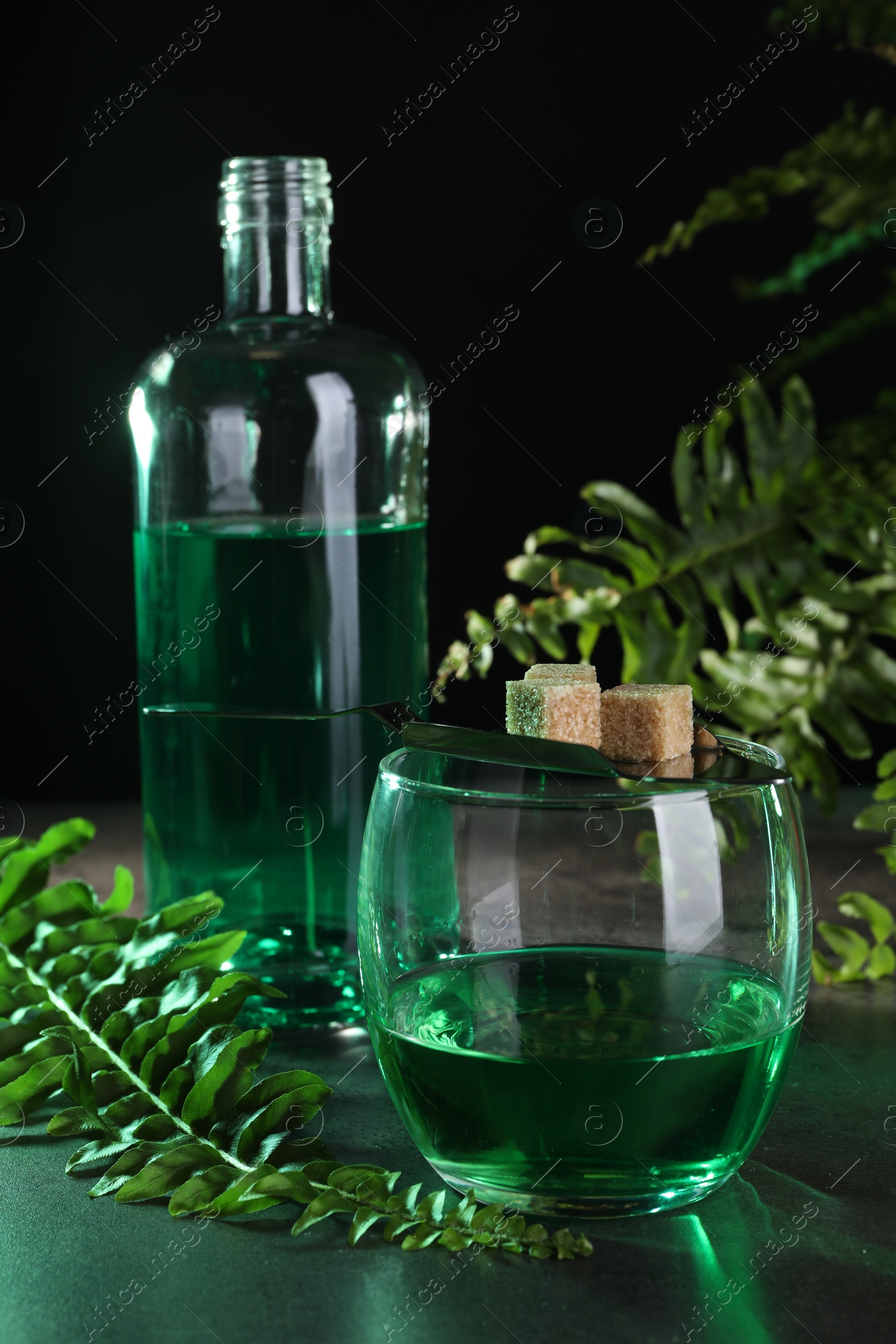 Photo of Absinthe in glass, spoon with brown sugar cubes and fern leaves on gray table against black background. Alcoholic drink