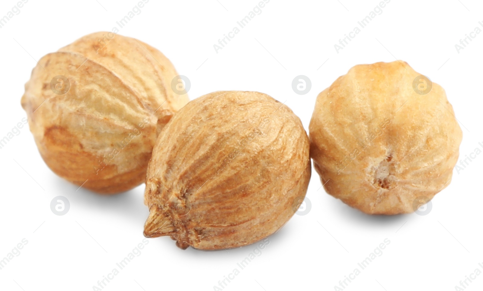 Photo of Three dried coriander seeds on white background