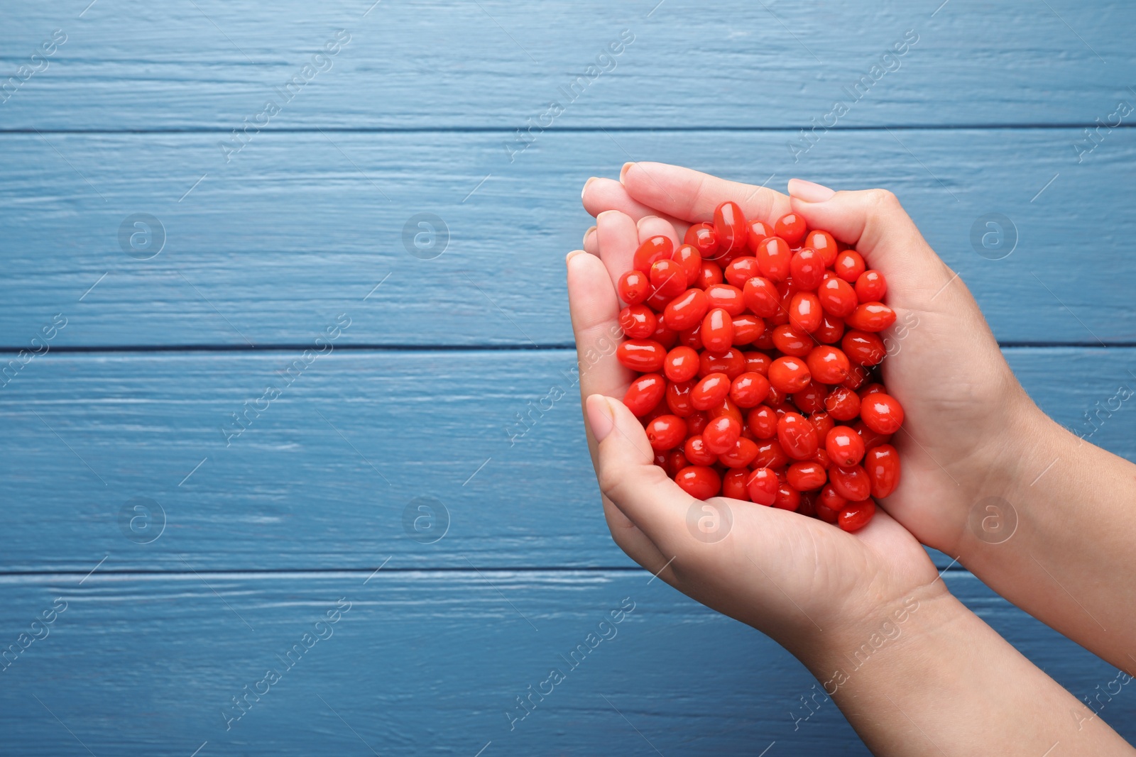 Photo of Woman holding pile of fresh ripe goji berries over blue wooden table, top view. Space for text