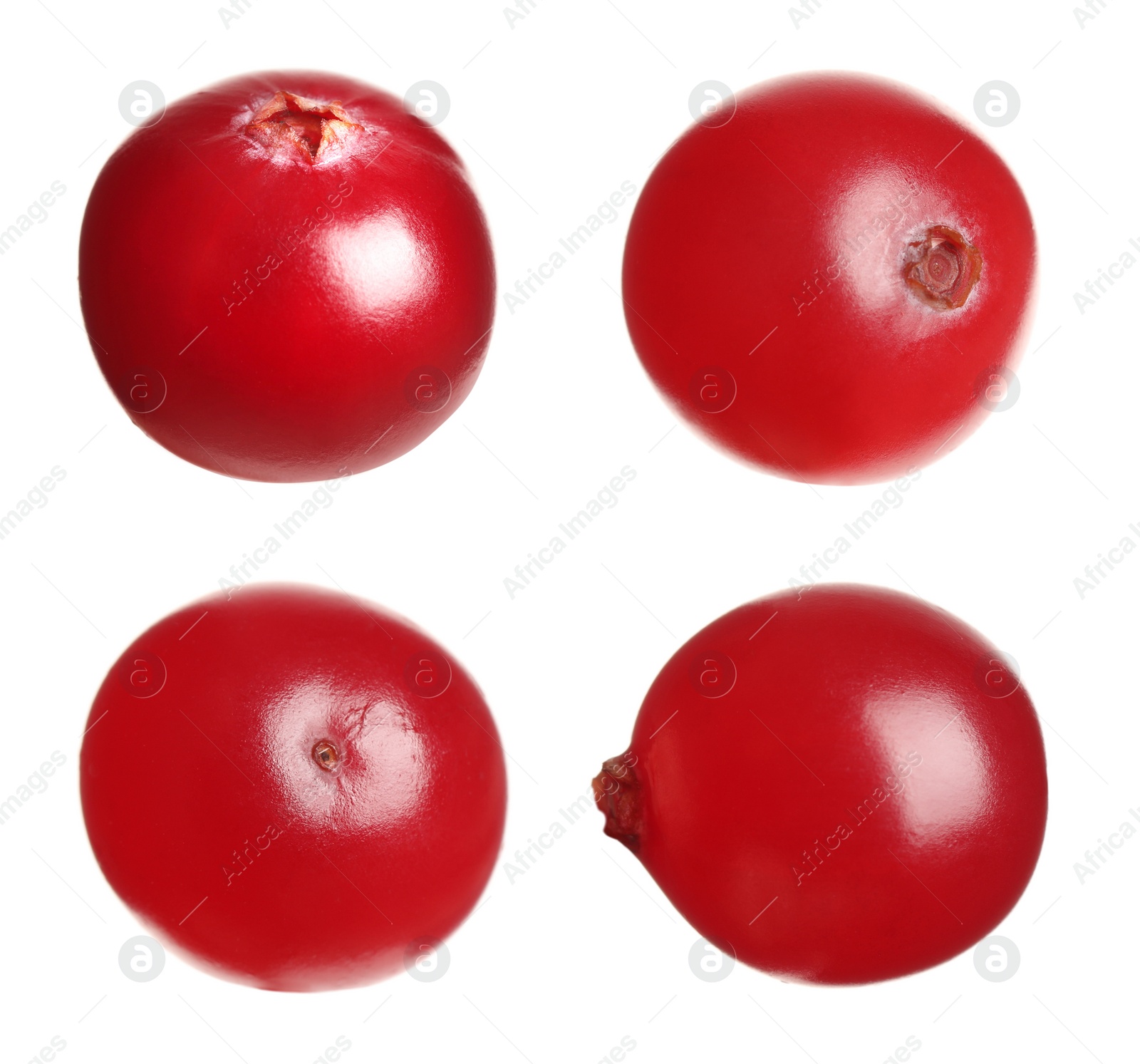 Image of Set of fresh ripe cranberries on white background, closeup view