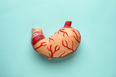 Photo of Anatomical model of stomach on turquoise background, top view. Gastroenterology