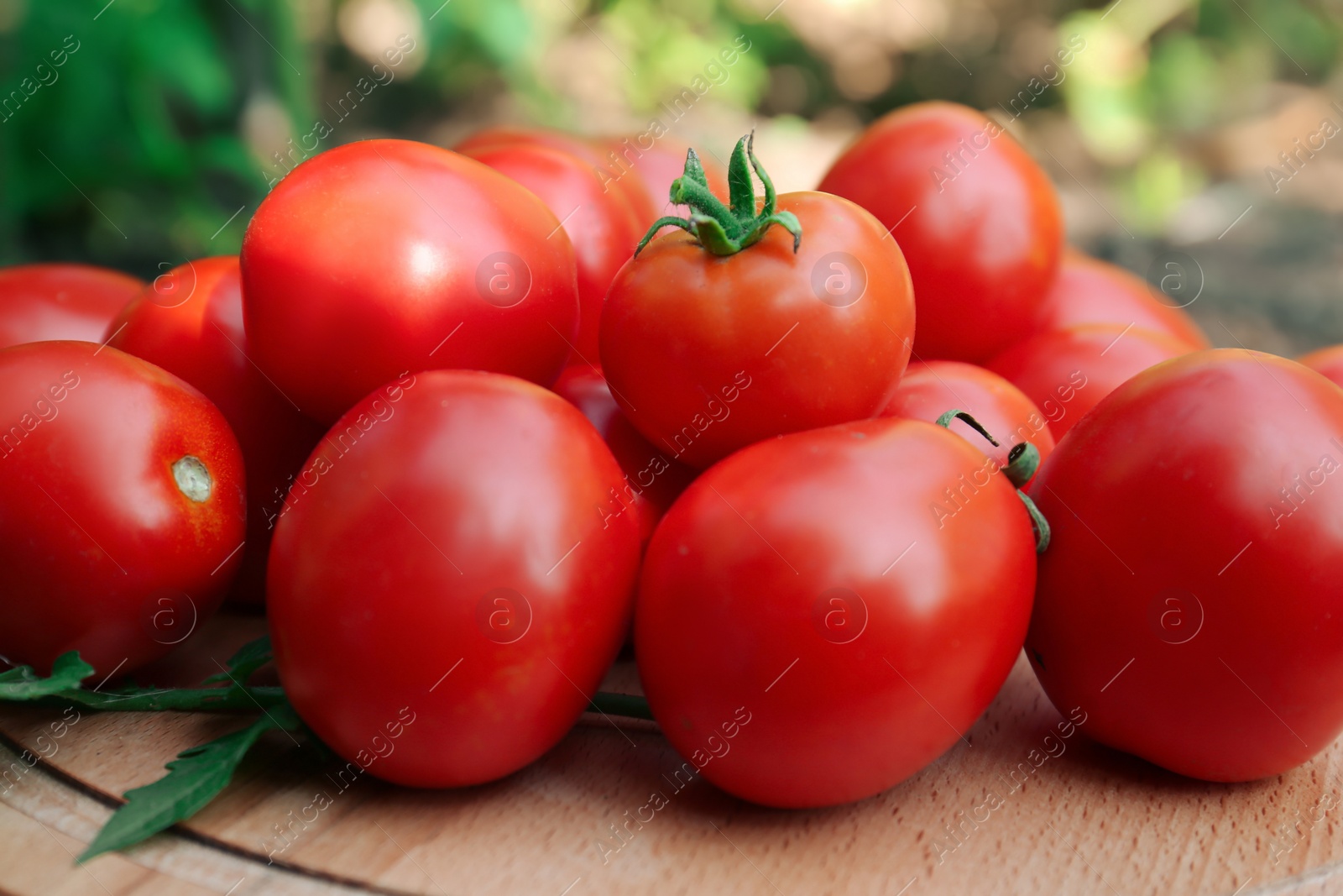 Photo of Wooden board with fresh ripe tomatoes outdoors, closeup