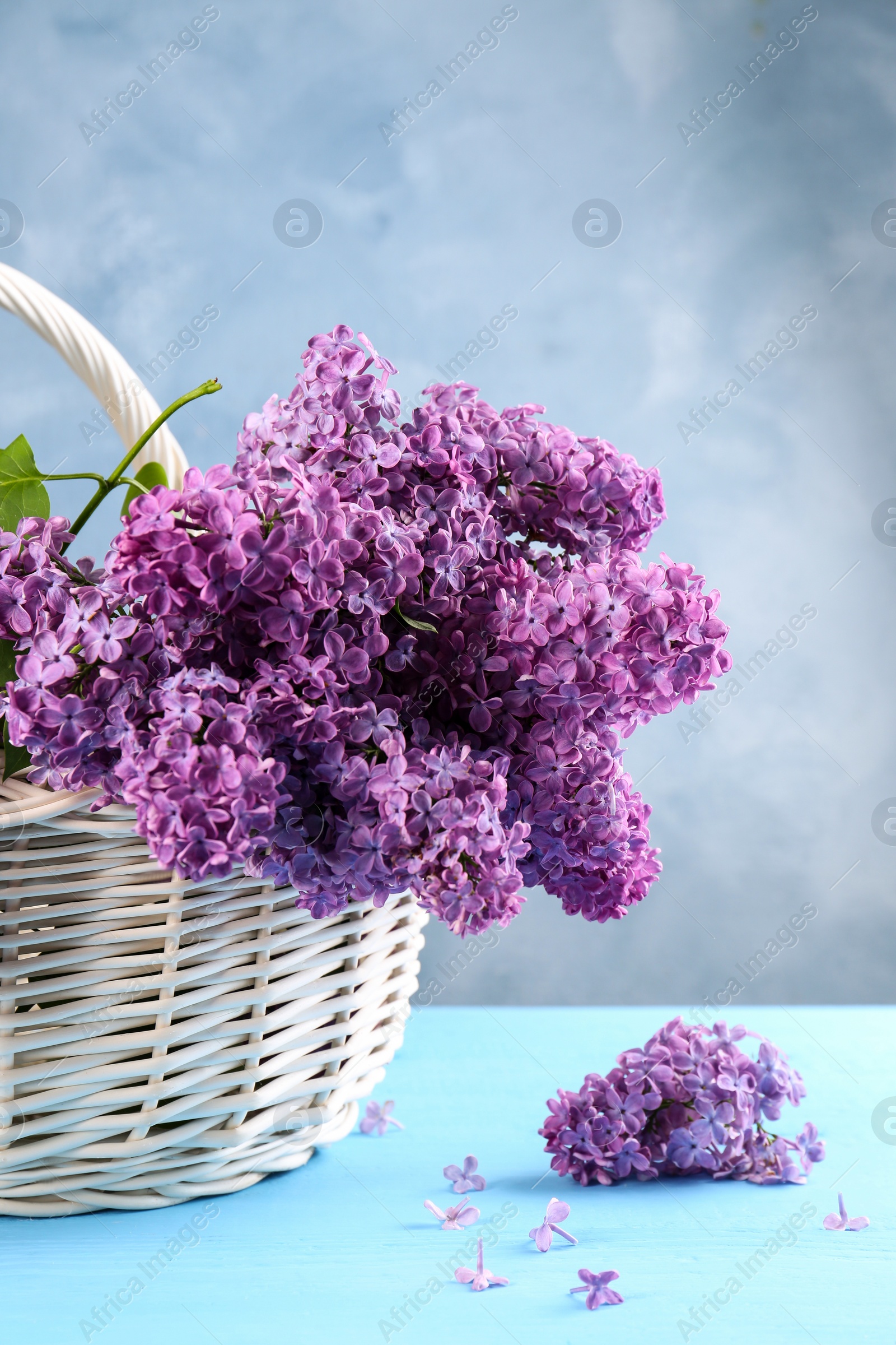 Photo of Beautiful lilac flowers in wicker basket on light blue wooden table