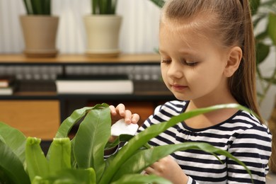 Photo of Cute girl wiping plant's leaves with cotton pad at home. House decor