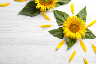 Beautiful bright sunflowers and petals on white wooden background, flat lay. Space for text