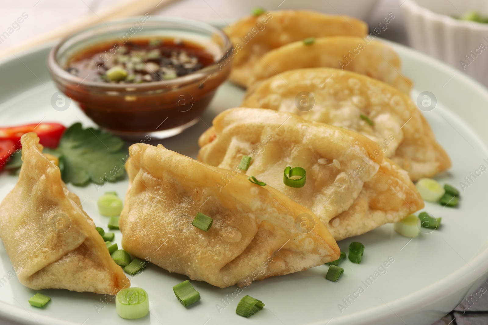 Photo of Delicious gyoza (asian dumplings) with green onions and soy sauce on plate, closeup