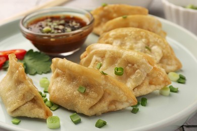 Photo of Delicious gyoza (asian dumplings) with green onions and soy sauce on plate, closeup