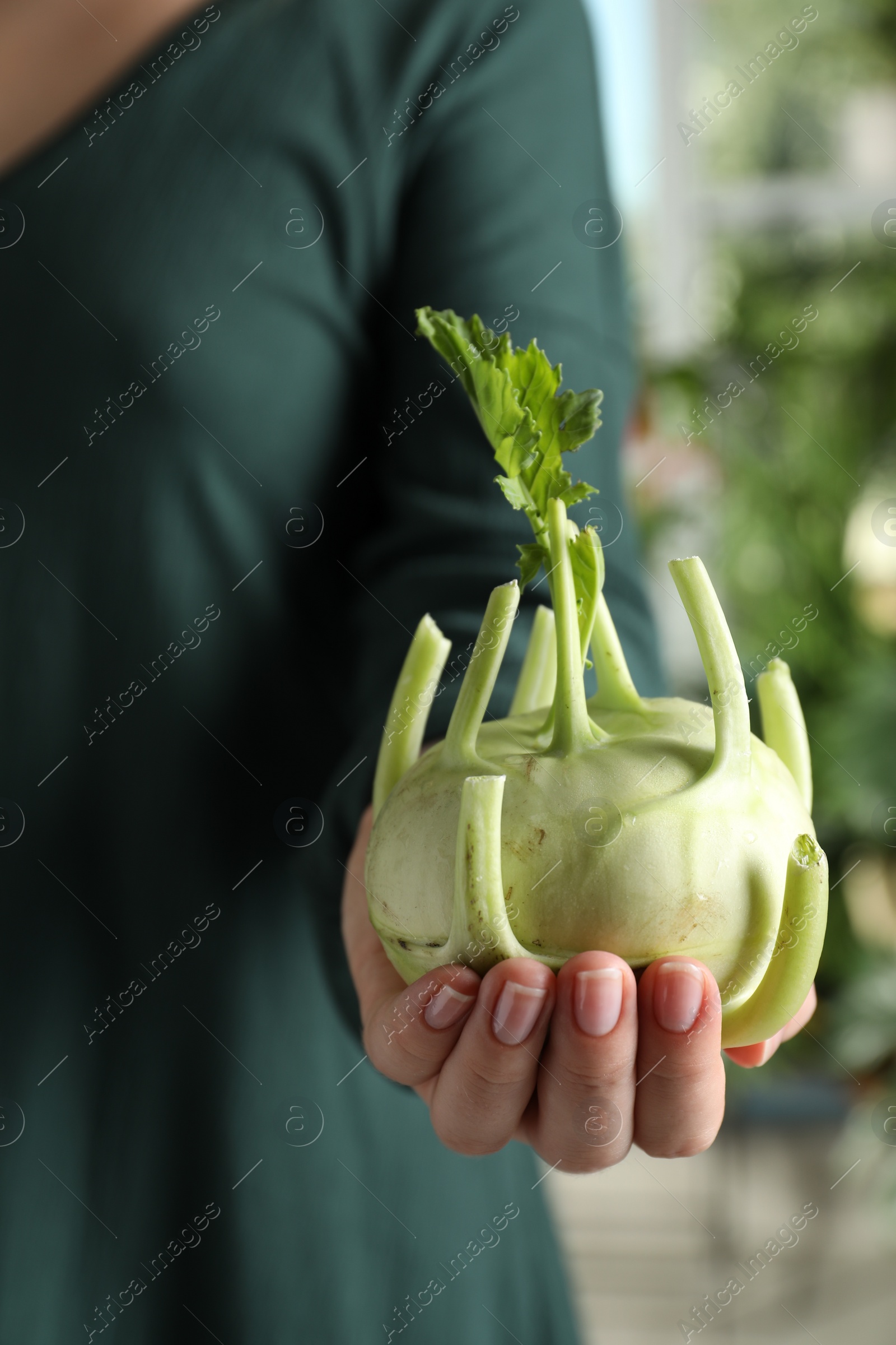 Photo of Woman with ripe kohlrabi plant outdoors, closeup