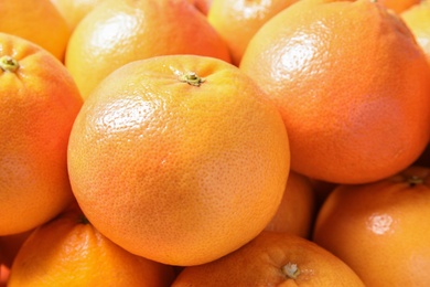 Many whole fresh ripe grapefruits as background, closeup