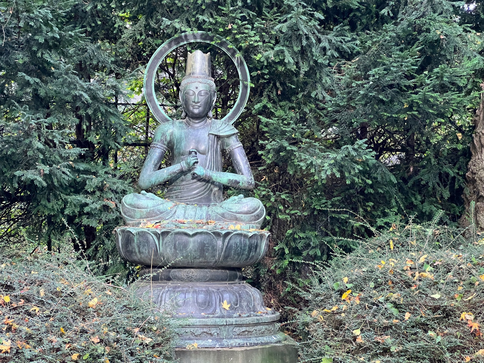 Photo of View of Buddha statue in autumn park