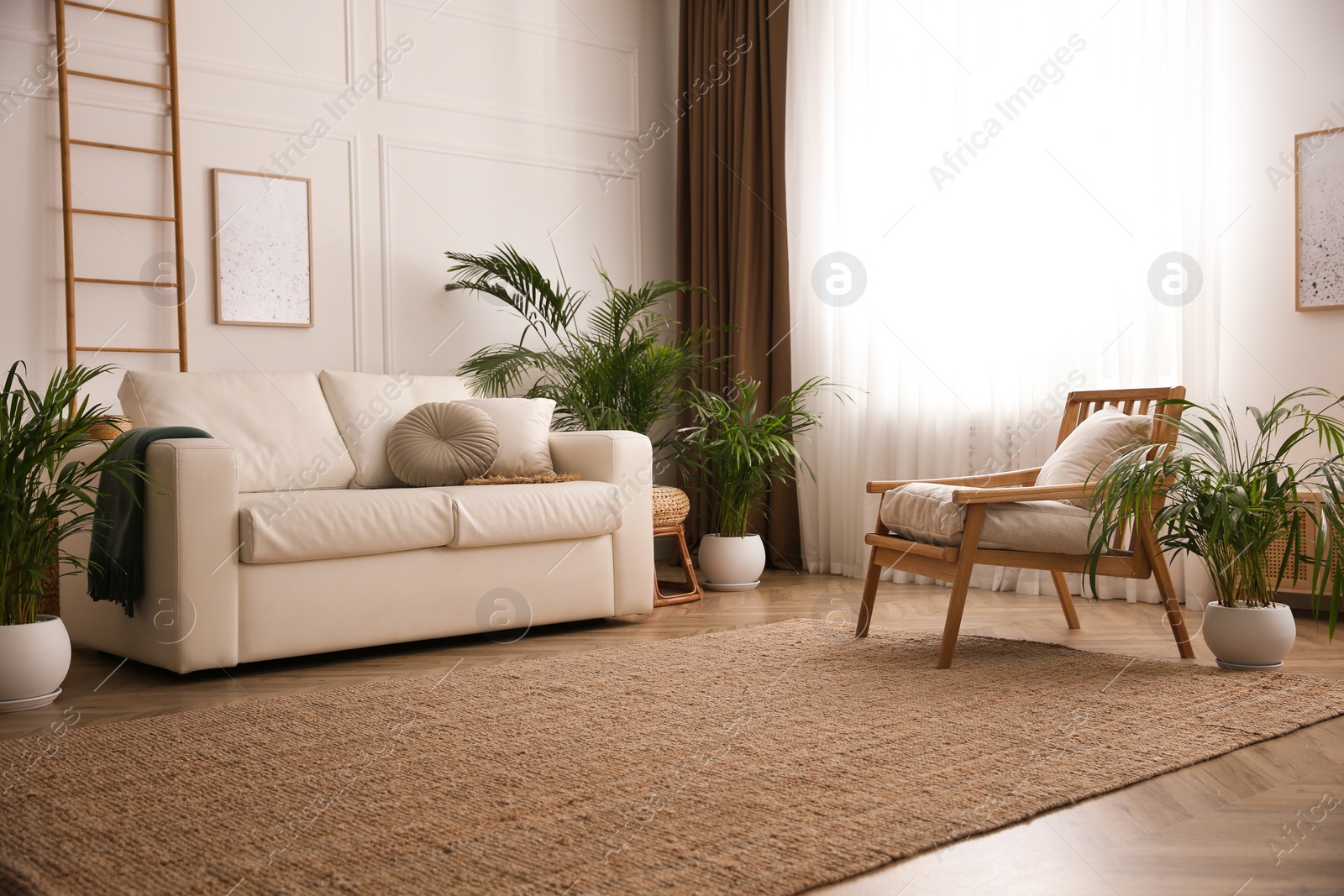 Photo of Beautiful potted house plants in stylish living room