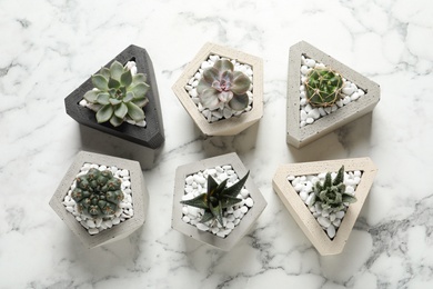 Photo of Beautiful succulent plants in stylish flowerpots on marble background, flat lay . Home decor