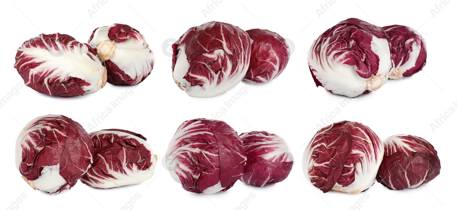 Image of Set with fresh ripe radicchios on white background. Banner design