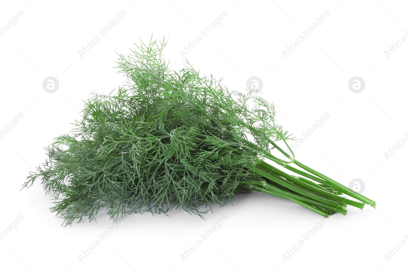 Photo of Sprigs of fresh dill isolated on white