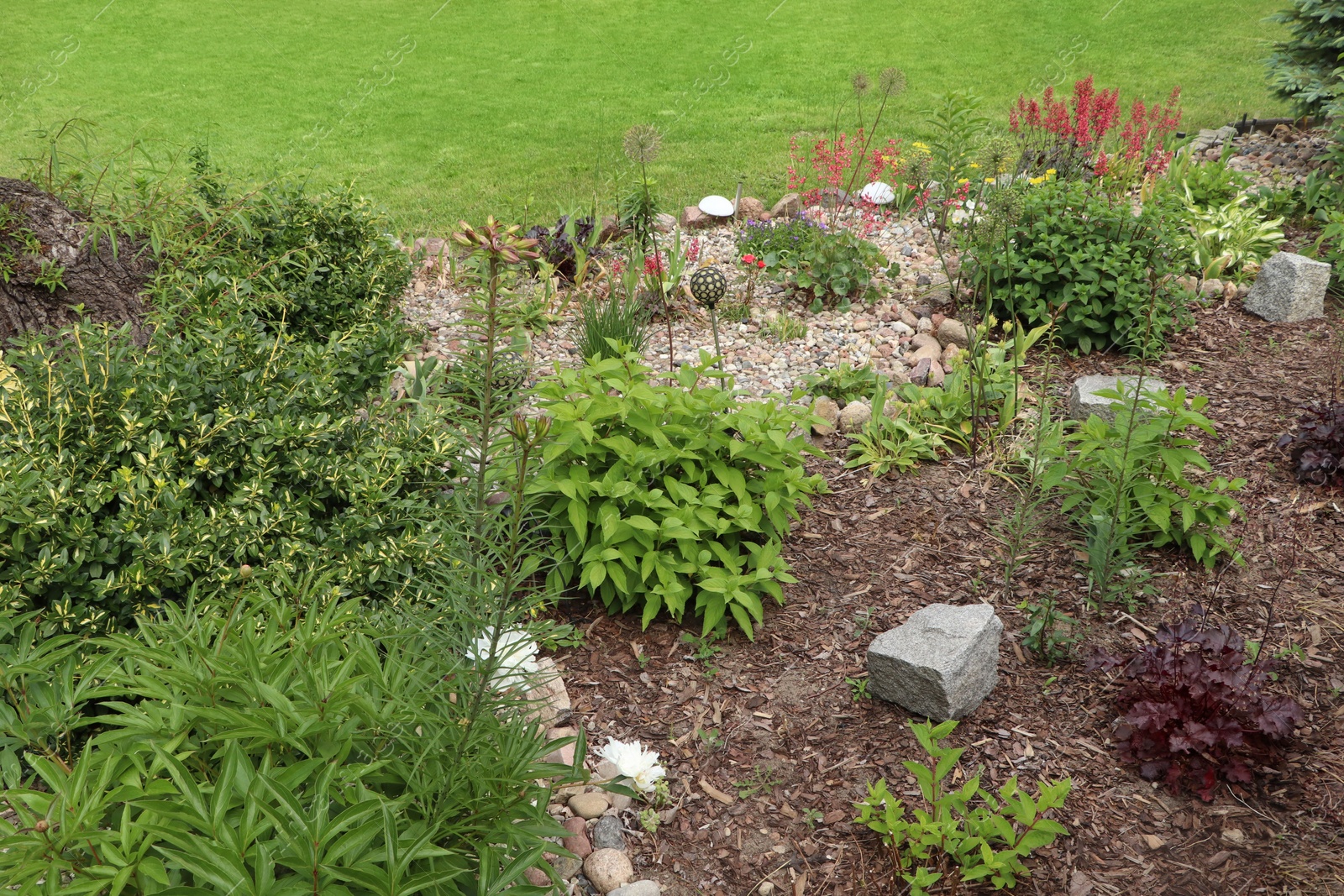 Photo of Beautiful flowerbed with different plants outdoors. Gardening and landscaping