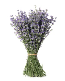 Bunch of beautiful lavender flowers on white background