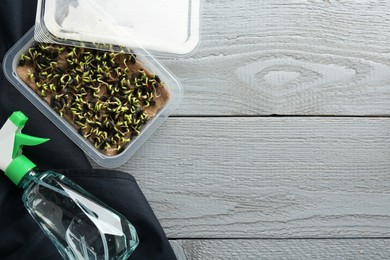 Microgreens growing kit. Sprouted sunflower seeds in container and spray bottle on grey wooden table, flat lay with space for text
