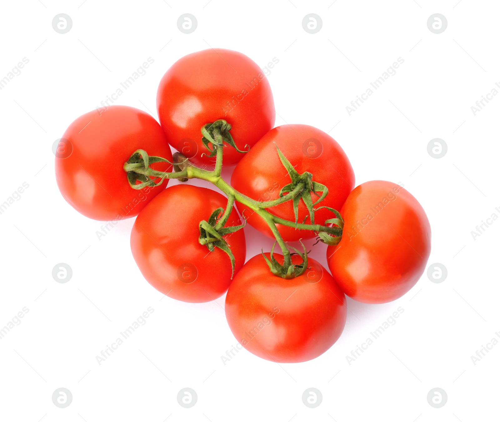 Photo of Fresh ripe tomatoes on white background, top view