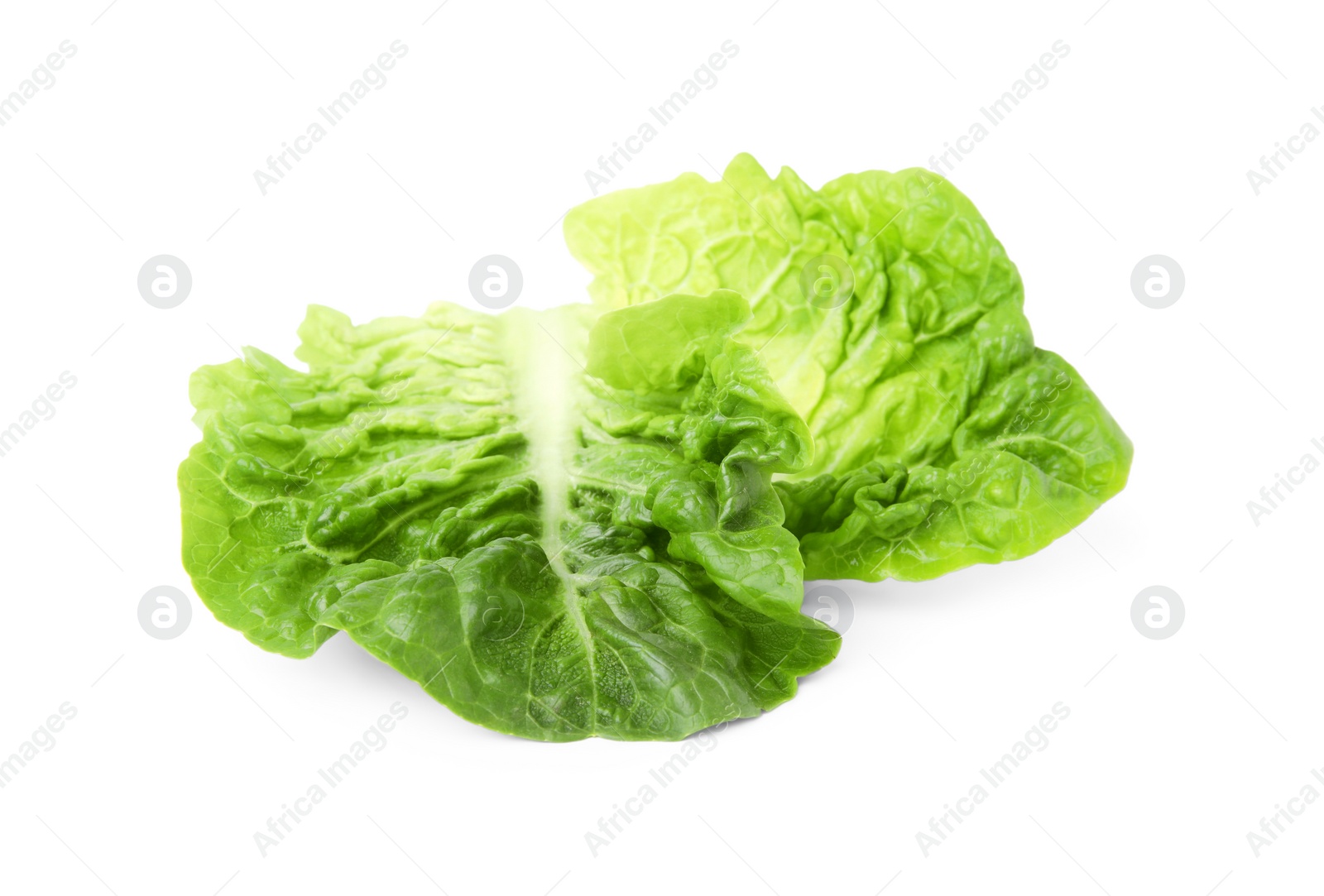 Photo of Fresh green leaves of romaine lettuce isolated on white