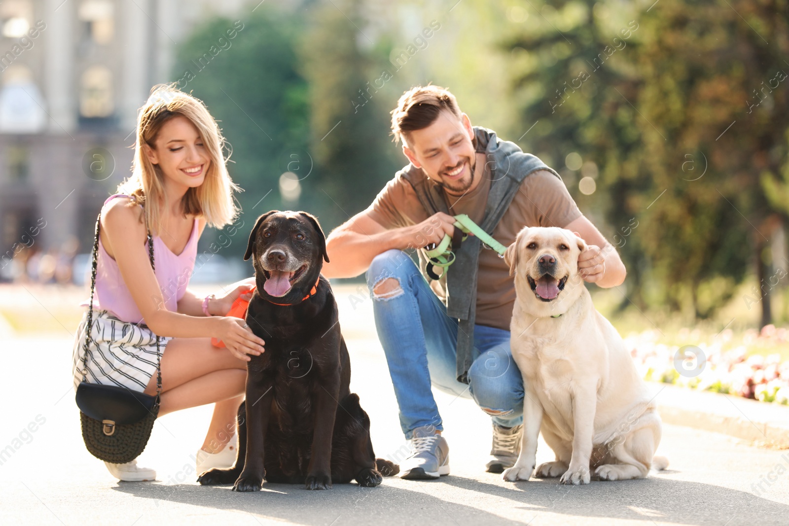 Photo of Cute labrador retrievers with owners outdoors on sunny day