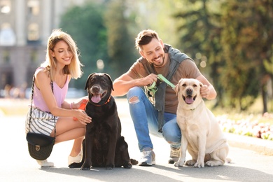 Cute labrador retrievers with owners outdoors on sunny day