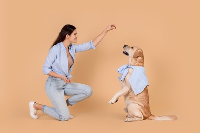 Happy woman playing with cute Labrador Retriever against beige background