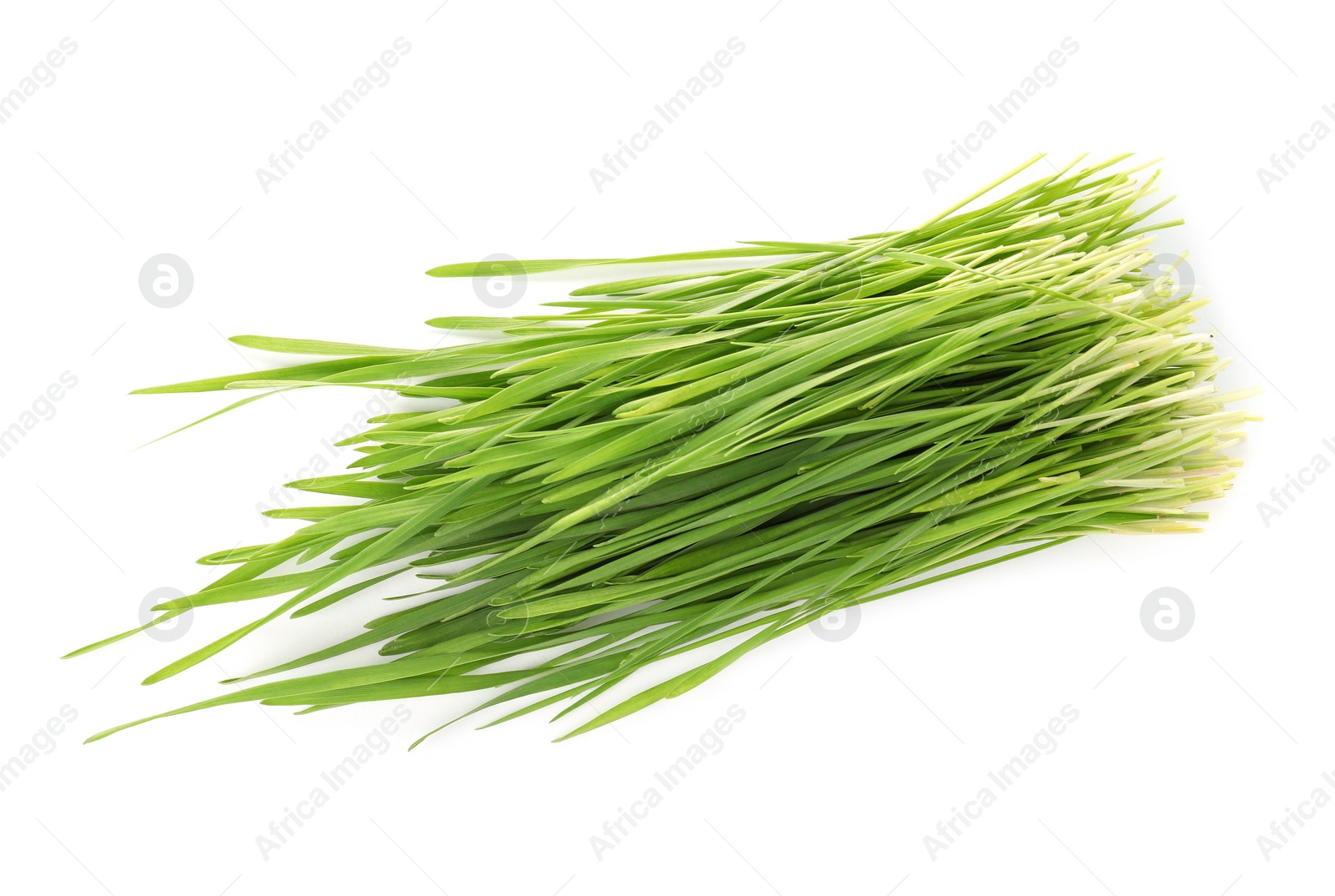 Photo of Wheat grass on white background, top view