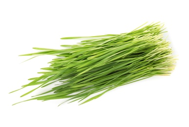 Wheat grass on white background, top view