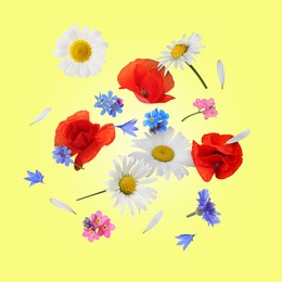 Image of Beautiful meadow flowers falling on yellow background
