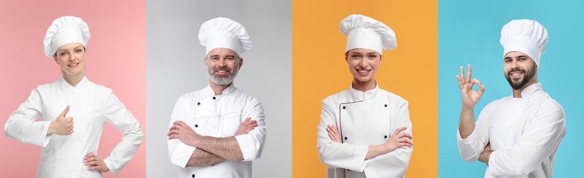 Collage with photos of professional chefs on different color backgrounds