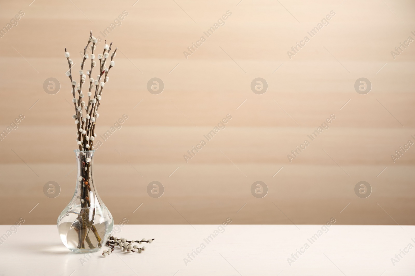 Photo of Beautiful pussy willow branches on white table, space for text