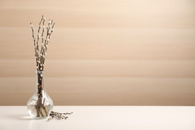 Photo of Beautiful pussy willow branches on white table, space for text